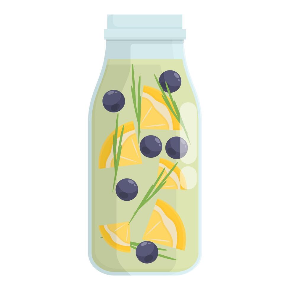 Glass jar filled with detox water containing sliced lemon, blueberries and rosemary sprigs vector