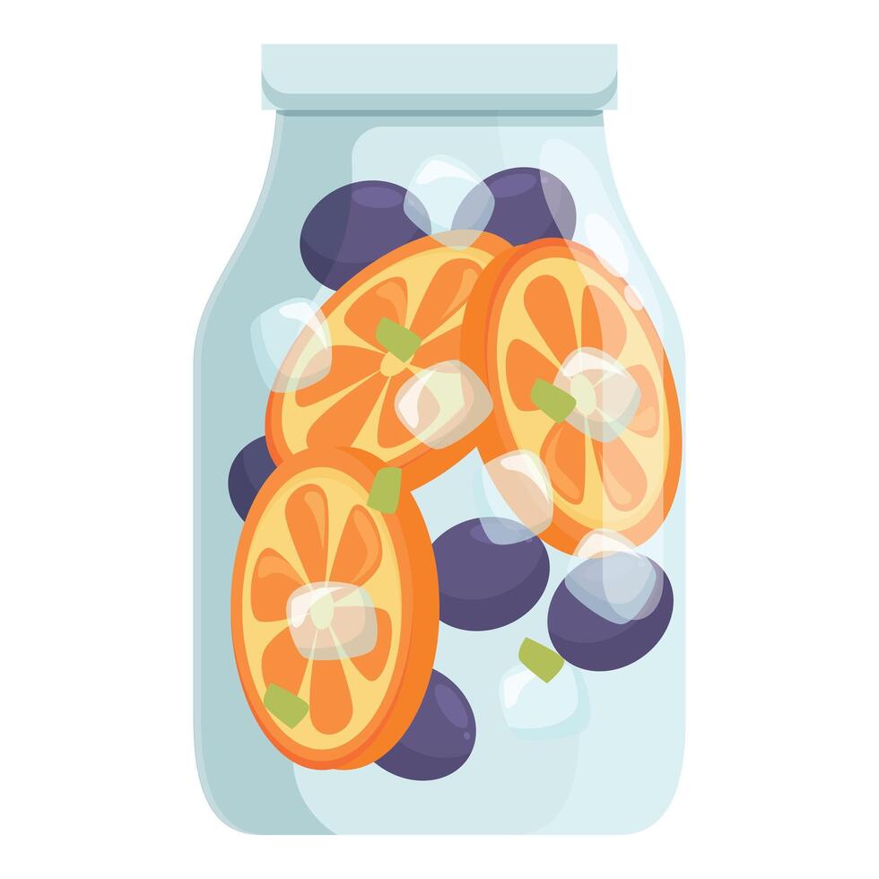 Glass jar filled with water, sliced oranges and plums, refreshing summer drink vector