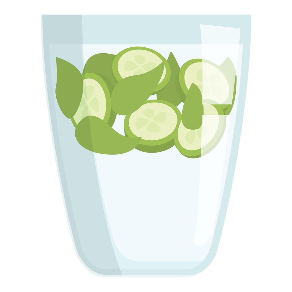 Refreshing detox water with sliced cucumber and mint leaves in a glass vector