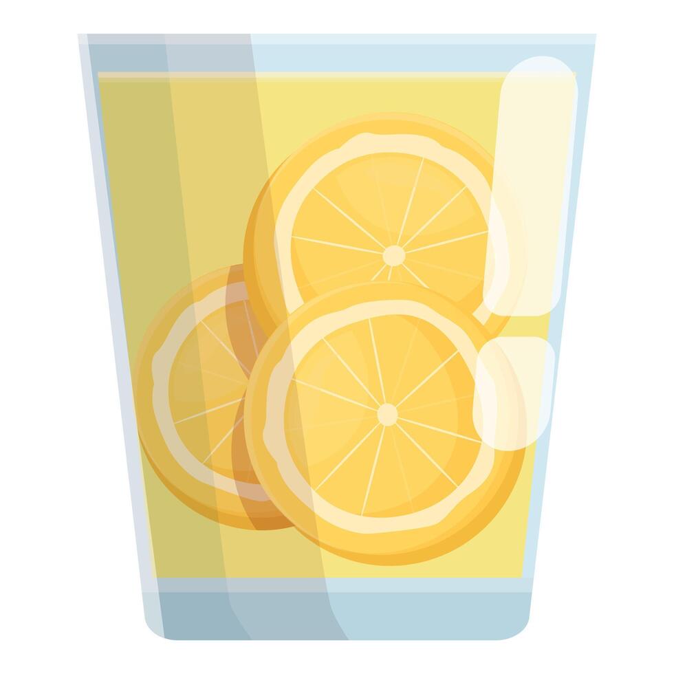 Refreshing citrus lemonade with slices of orange fruit floating in a glass vector