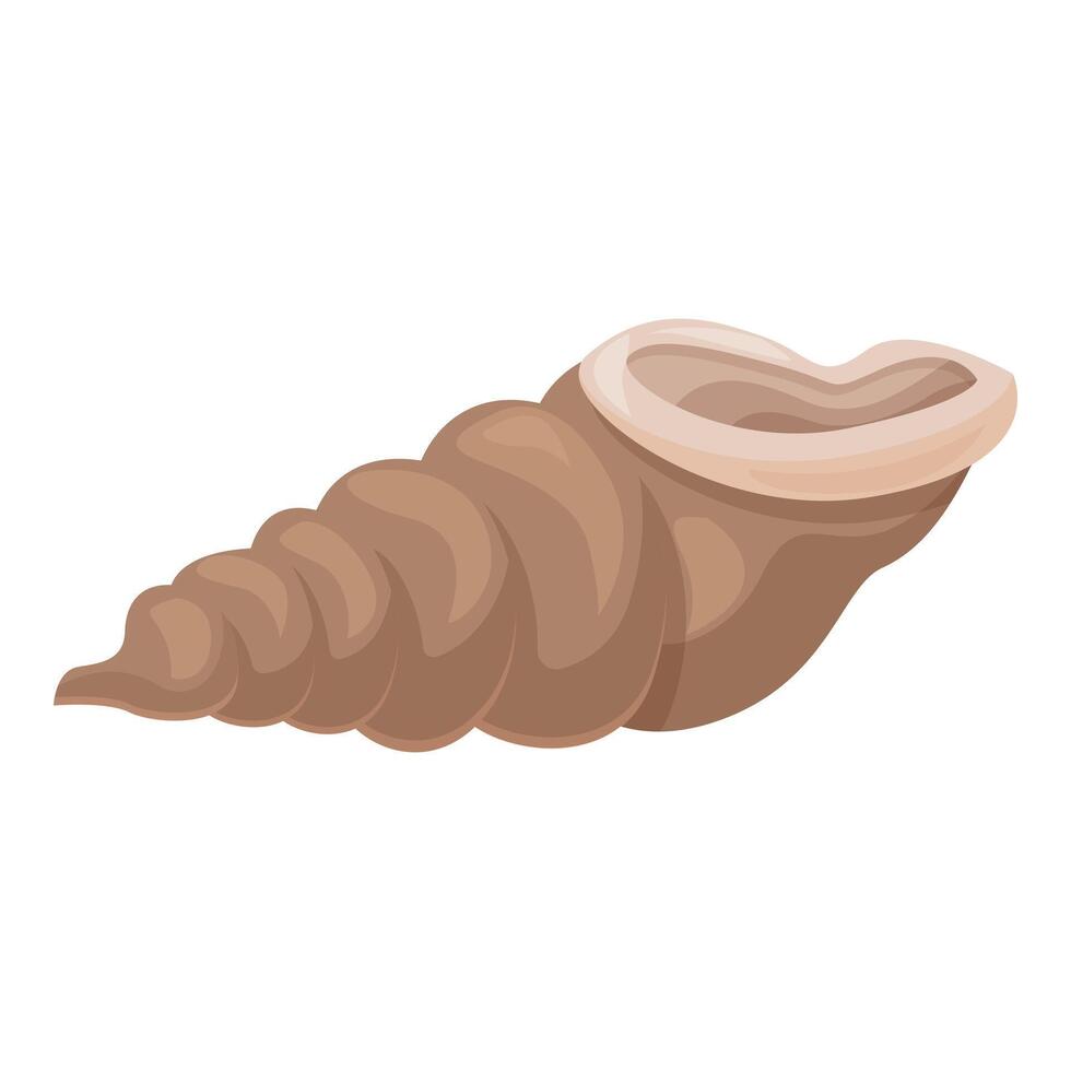 Empty seashell lying horizontally with opening facing upwards vector