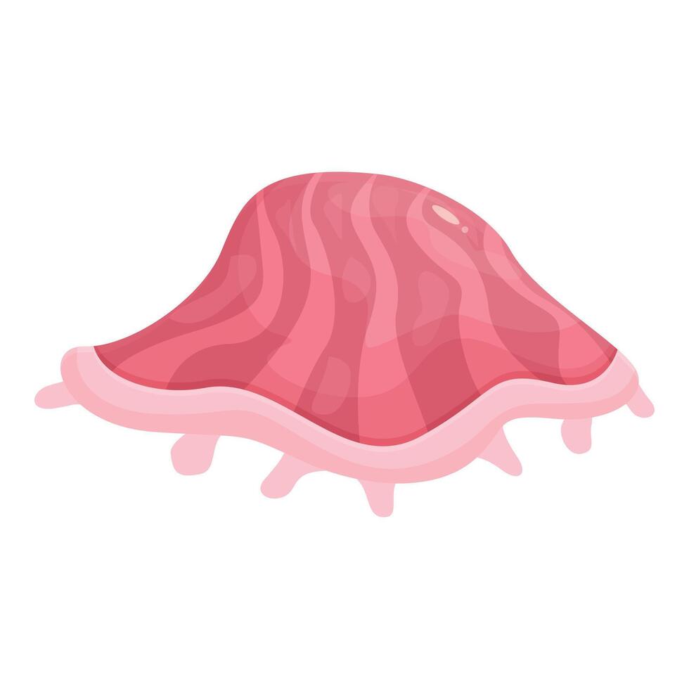 Pink seashell lying and showing its tender inside part vector
