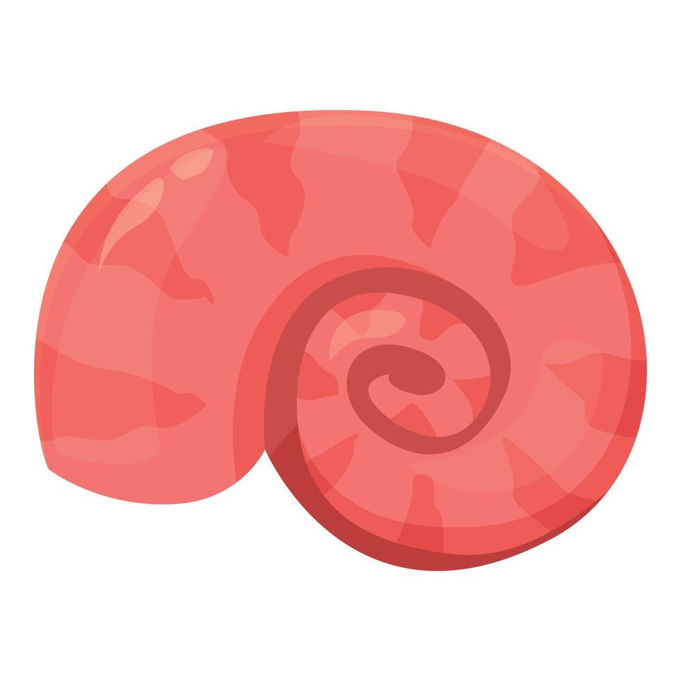 Pink seashell showing spiral pattern of mollusc growing under the sea vector