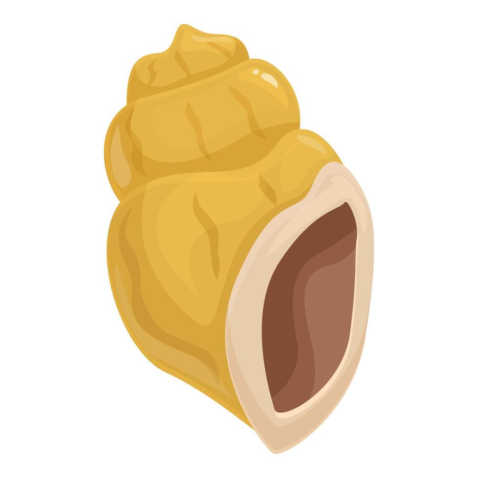 Empty seashell lying on white background showing its inside vector