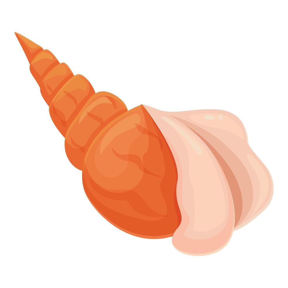 Beautiful orange seashell with pink inside lying on white background vector
