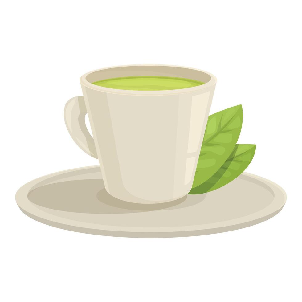 White cup with green tea standing on saucer with fresh tea leaves vector