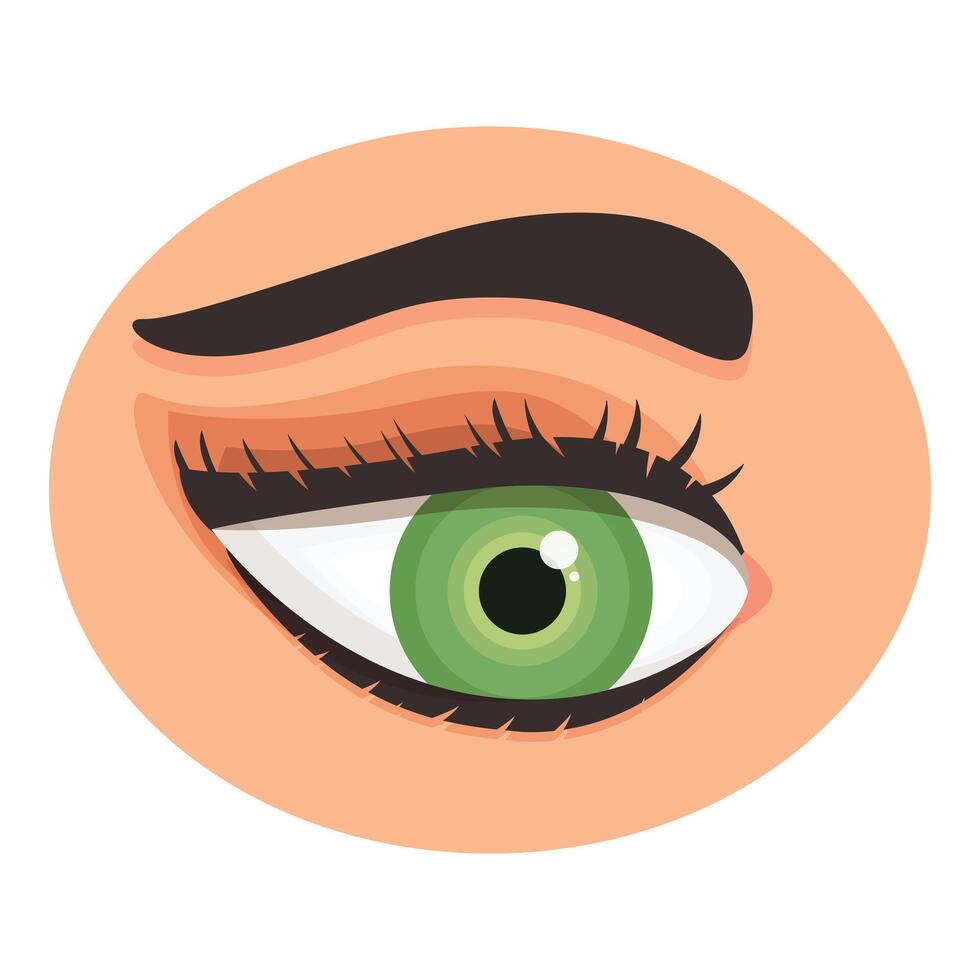 Beautiful female green eye looking sideways with long black eyelashes vector