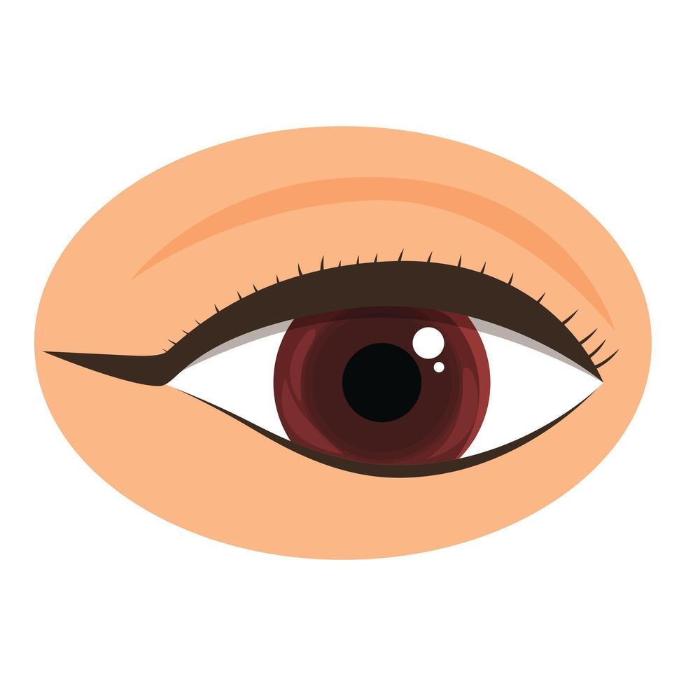 Beautiful female eye with perfectly applied makeup staring at viewer vector