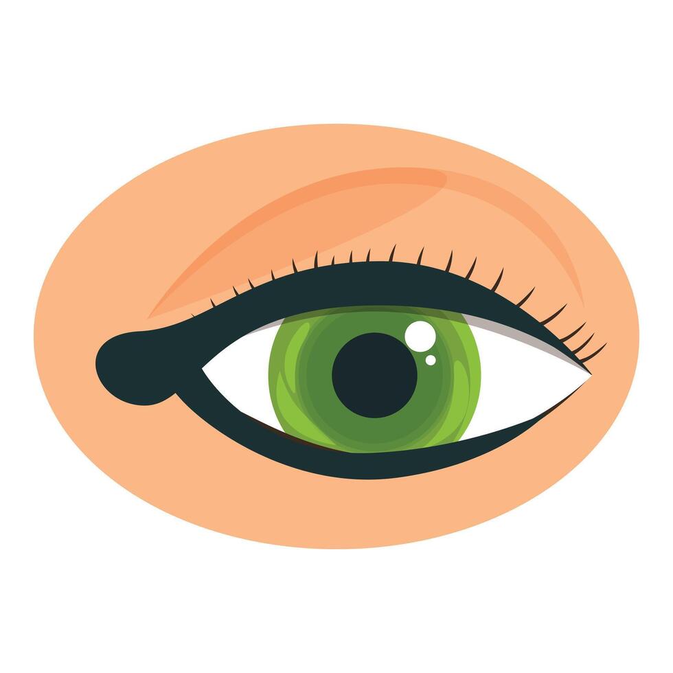 Green eye with perfectly shaded makeup gazing directly at viewer vector