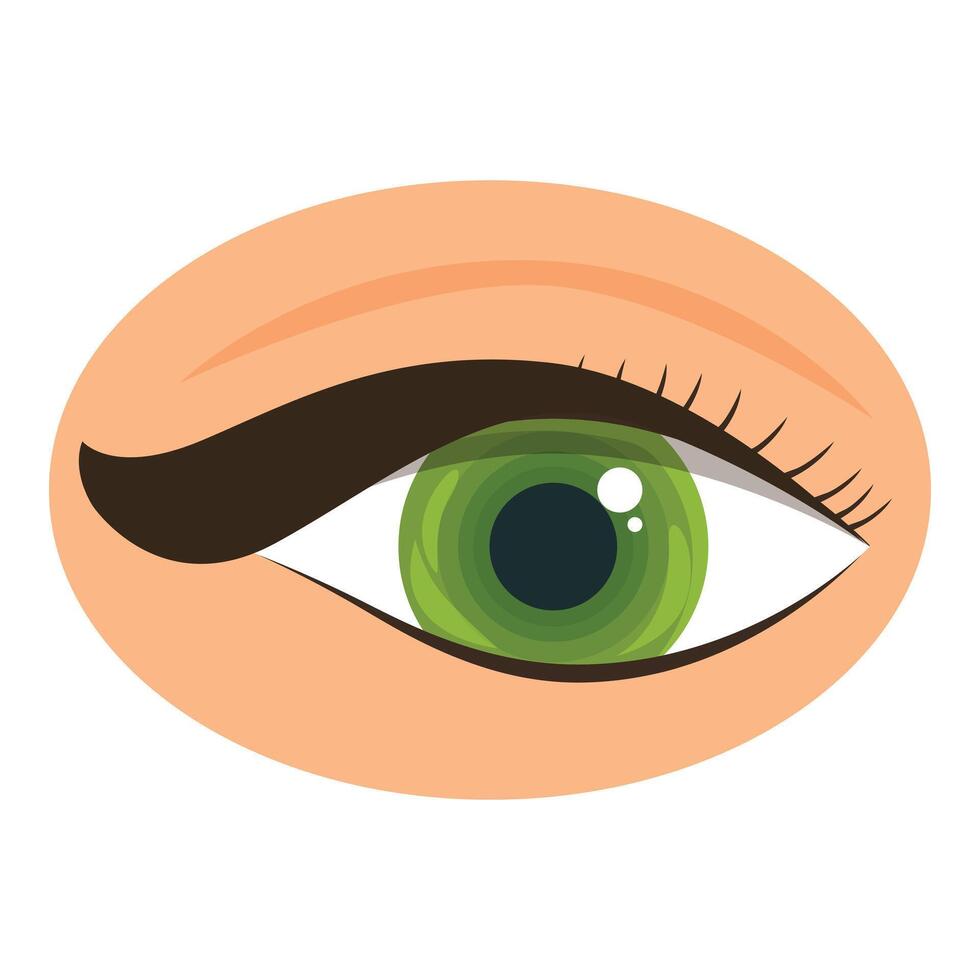 Beautiful female green eye with long black eyelashes and perfect makeup looking up vector