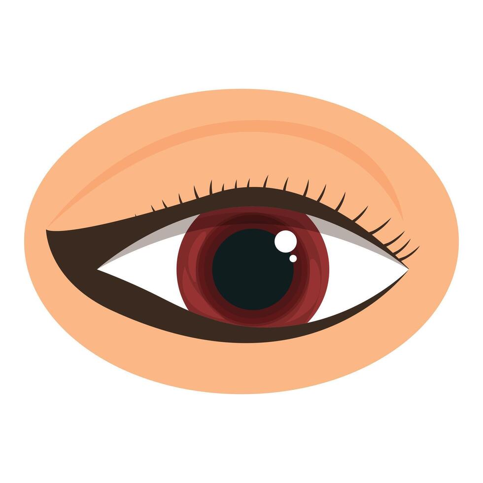 Female red eye staring showing eyelashes and eyeliner makeup vector