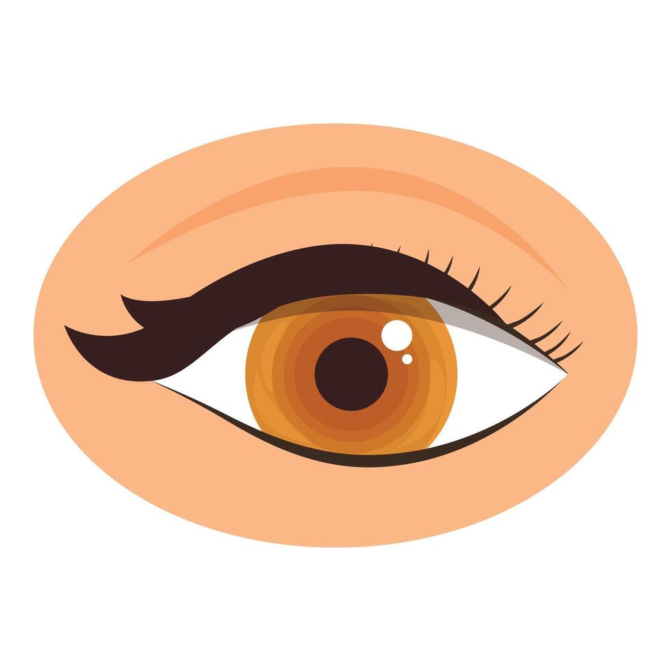 Illustration of a beautiful female eye with long black eyelashes and peach colored skin vector