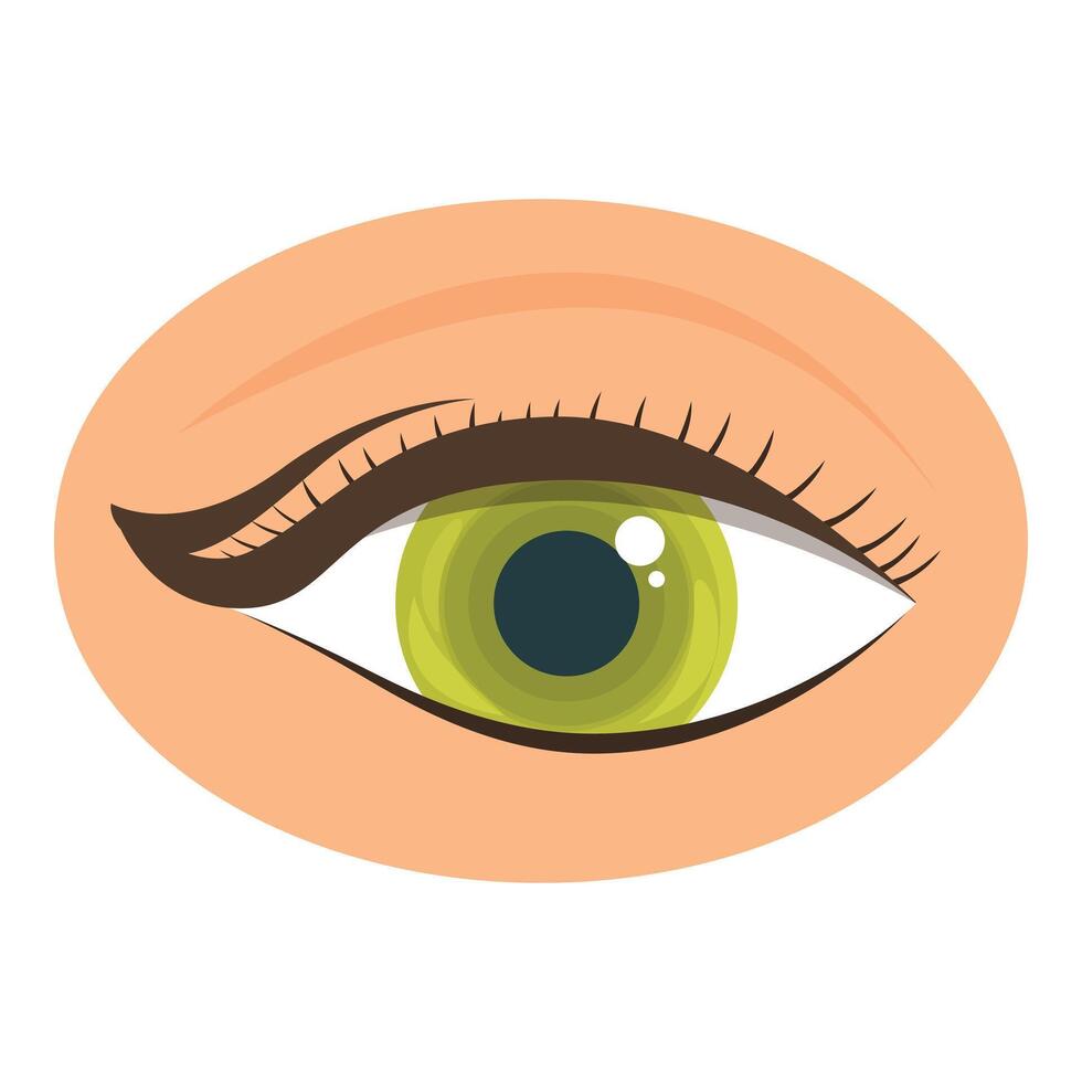Green eye with perfectly applied eyeliner looking sideways illustration vector