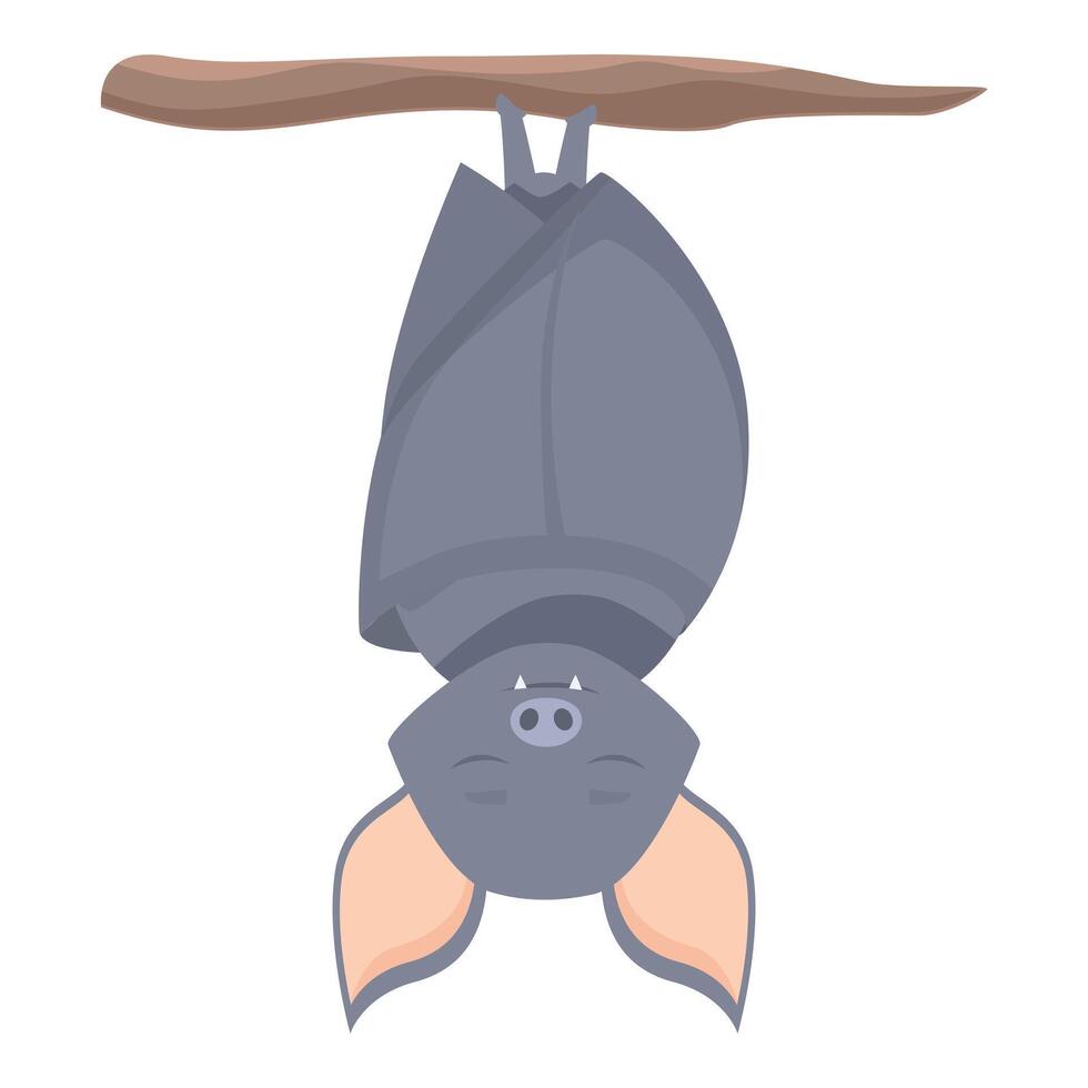 Cute grey bat hanging upside down on a tree branch vector