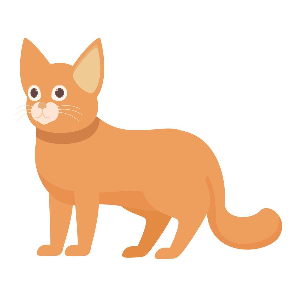 Cute ginger tabby cat standing on white background vector