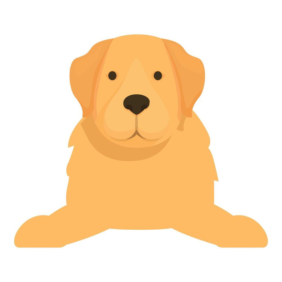 Cute golden retriever puppy dog lying down illustration vector