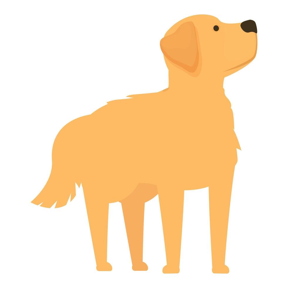 Golden retriever dog standing looking up amused vector