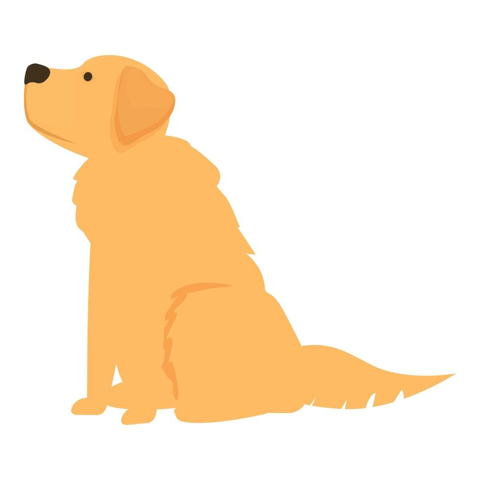 Golden retriever sitting looking up raising head vector
