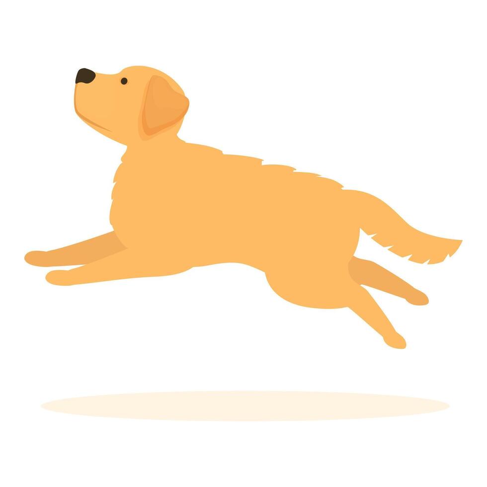 Happy golden retriever running and jumping with excitement vector