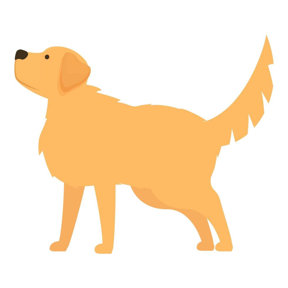 Golden retriever dog standing looking up illustration vector