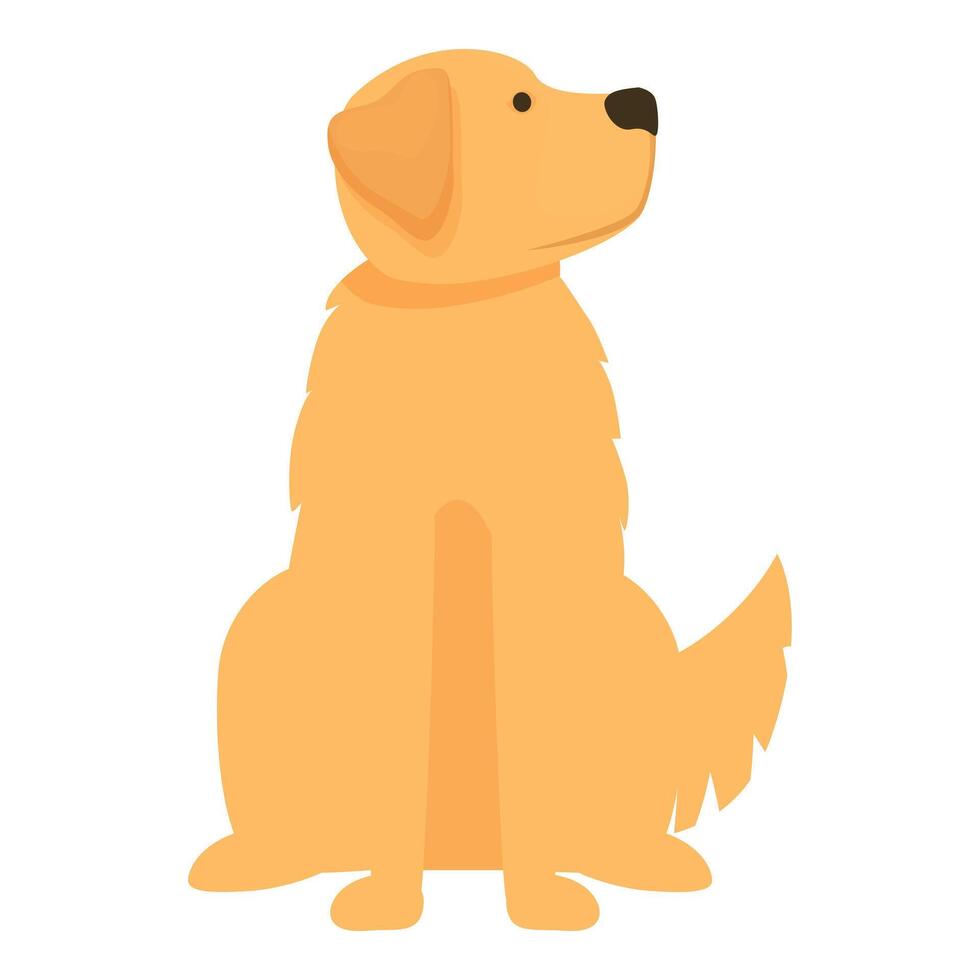 Golden retriever dog sitting and looking up illustration vector