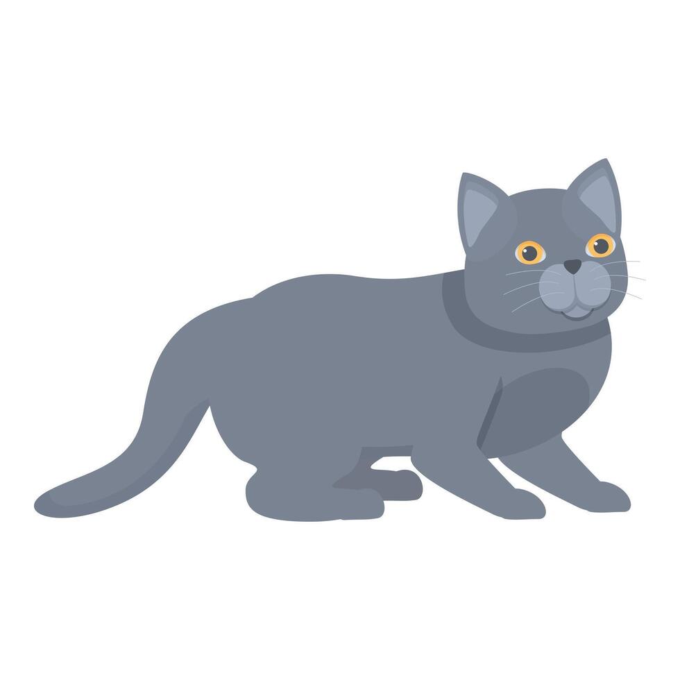 Playful grey british shorthair cat relaxing at home vector