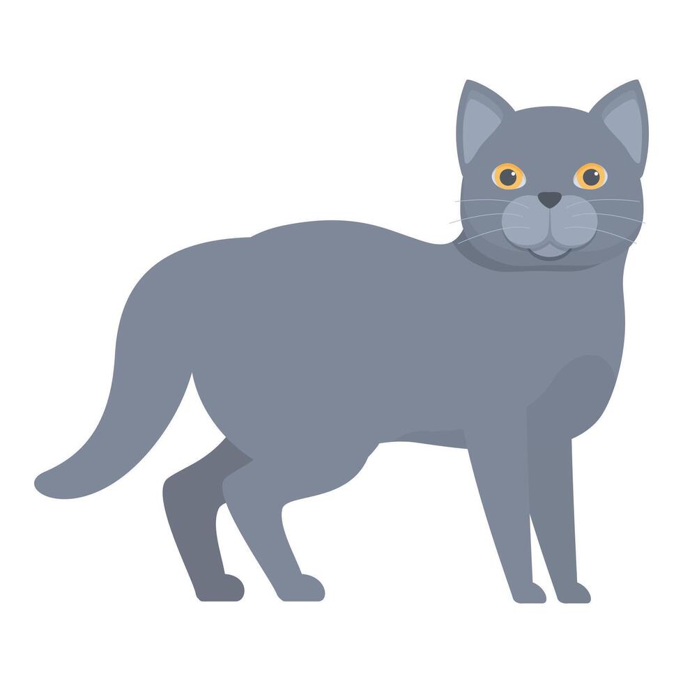 Grey chartreux cat standing illustration vector