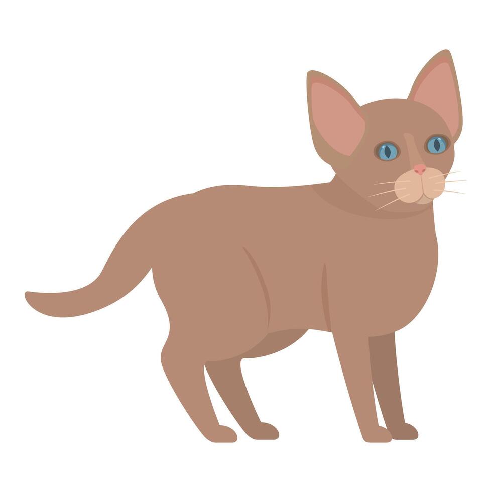 Brown cat standing on white background illustration vector
