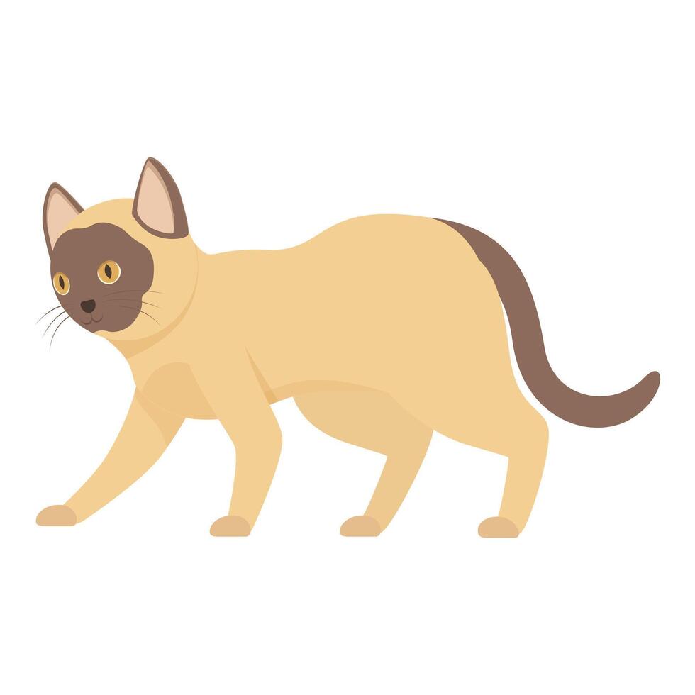 Burmese cat walking with brown tail and head vector