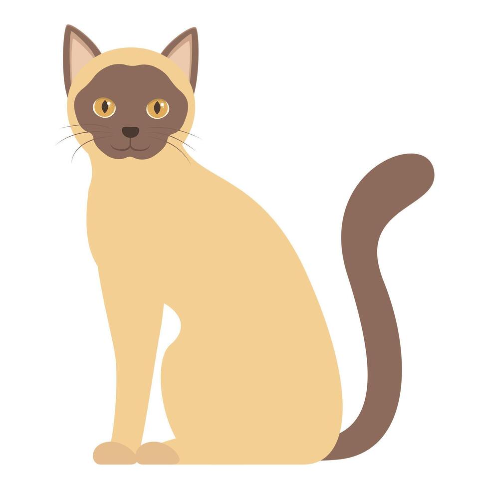 Cute siamese cat sitting and looking forward illustration vector