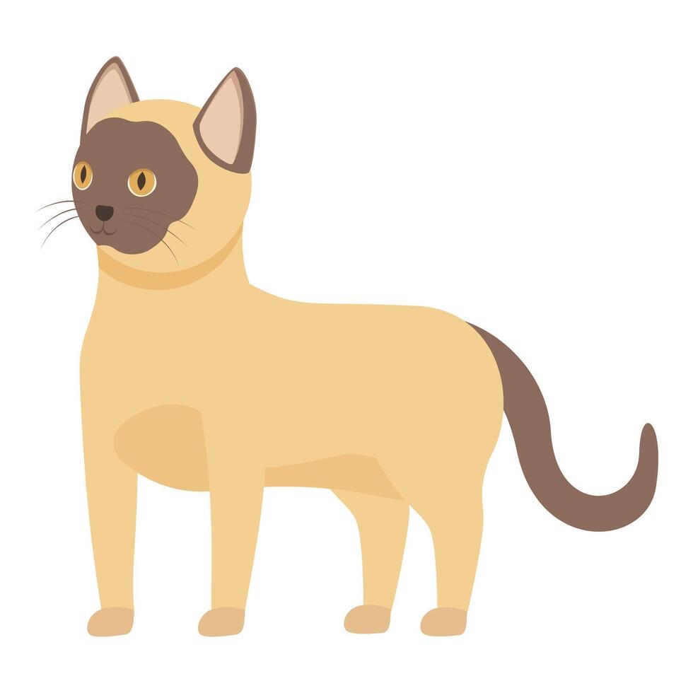 Cute siamese cat standing on white background vector