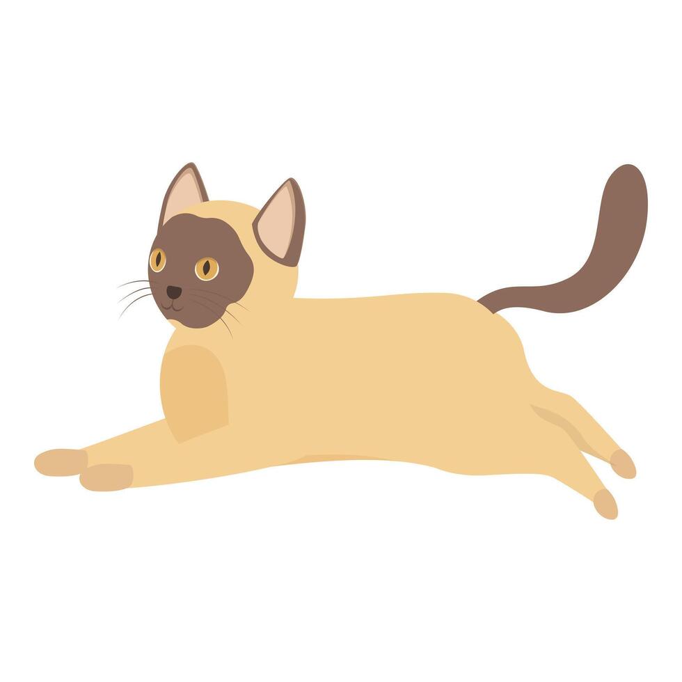 Playful burmese cat stretching on white background vector