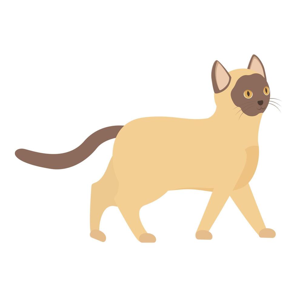 Siamese cat walking with curiosity in flat design vector