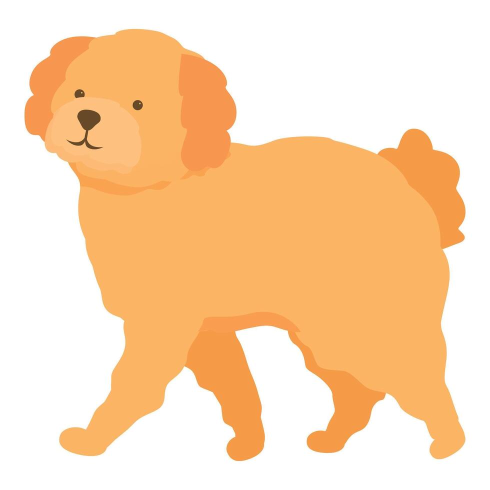 Happy golden doodle dog walking side view vector