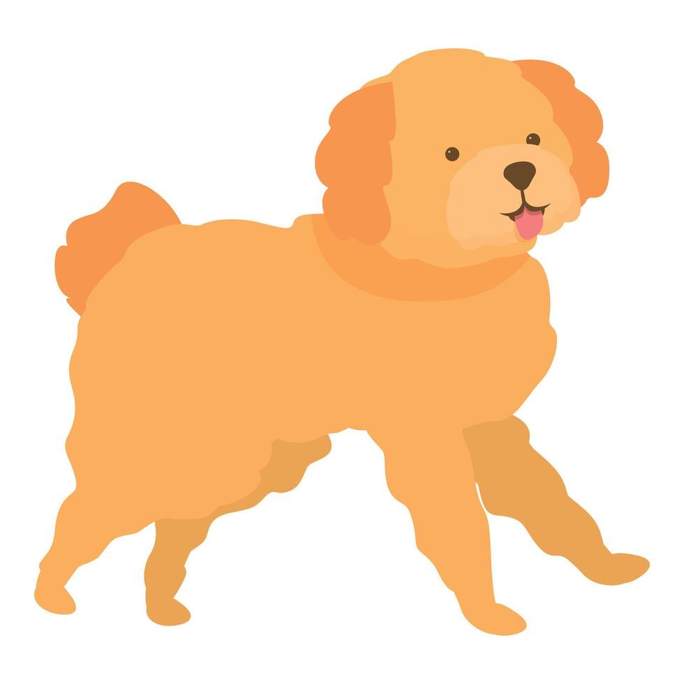 Happy golden doodle dog walking with tongue out vector