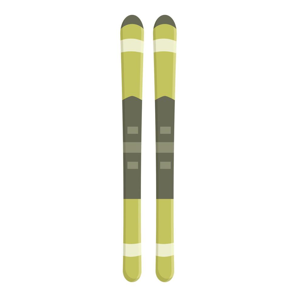 Pair of downhill skis standing upright on white background vector