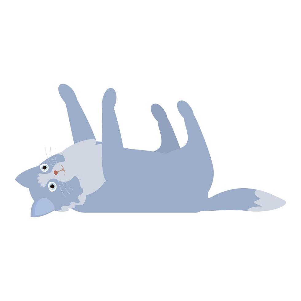 Playful blue tabby cat lying on its back vector