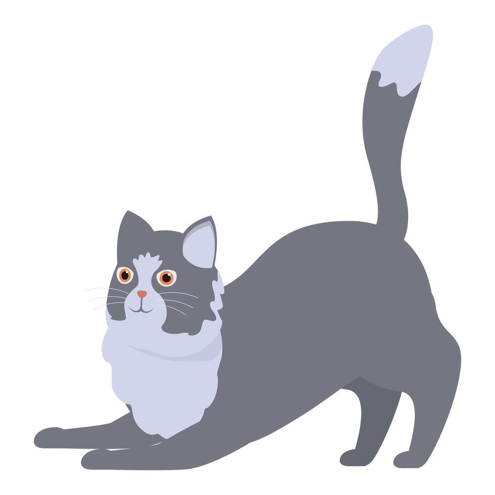 Playful gray cat stretching on white background vector