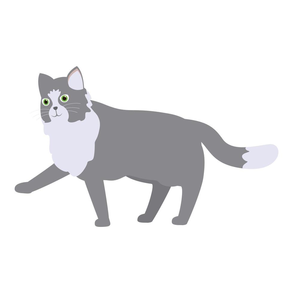 Grey and white cat walking with raised paw illustration vector