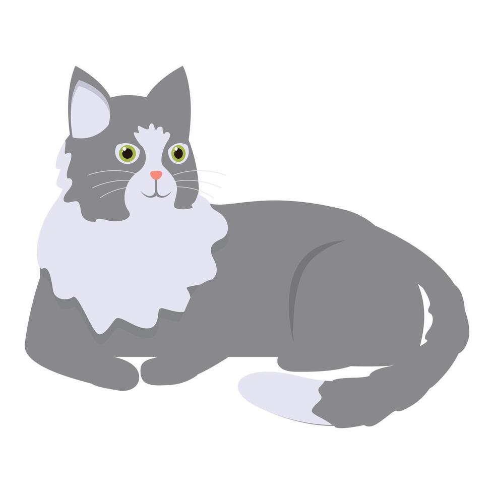 Grey and white cat lying down looking up vector