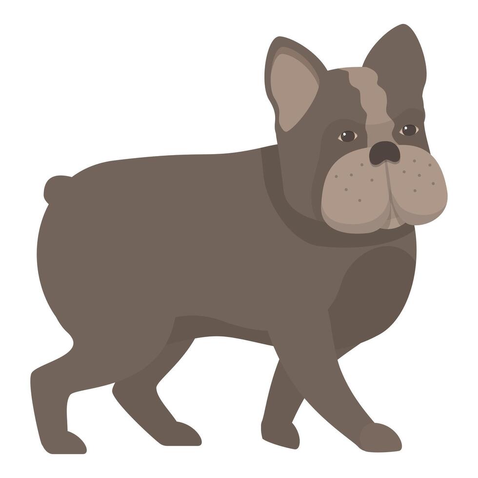 French bulldog walking side view illustration vector