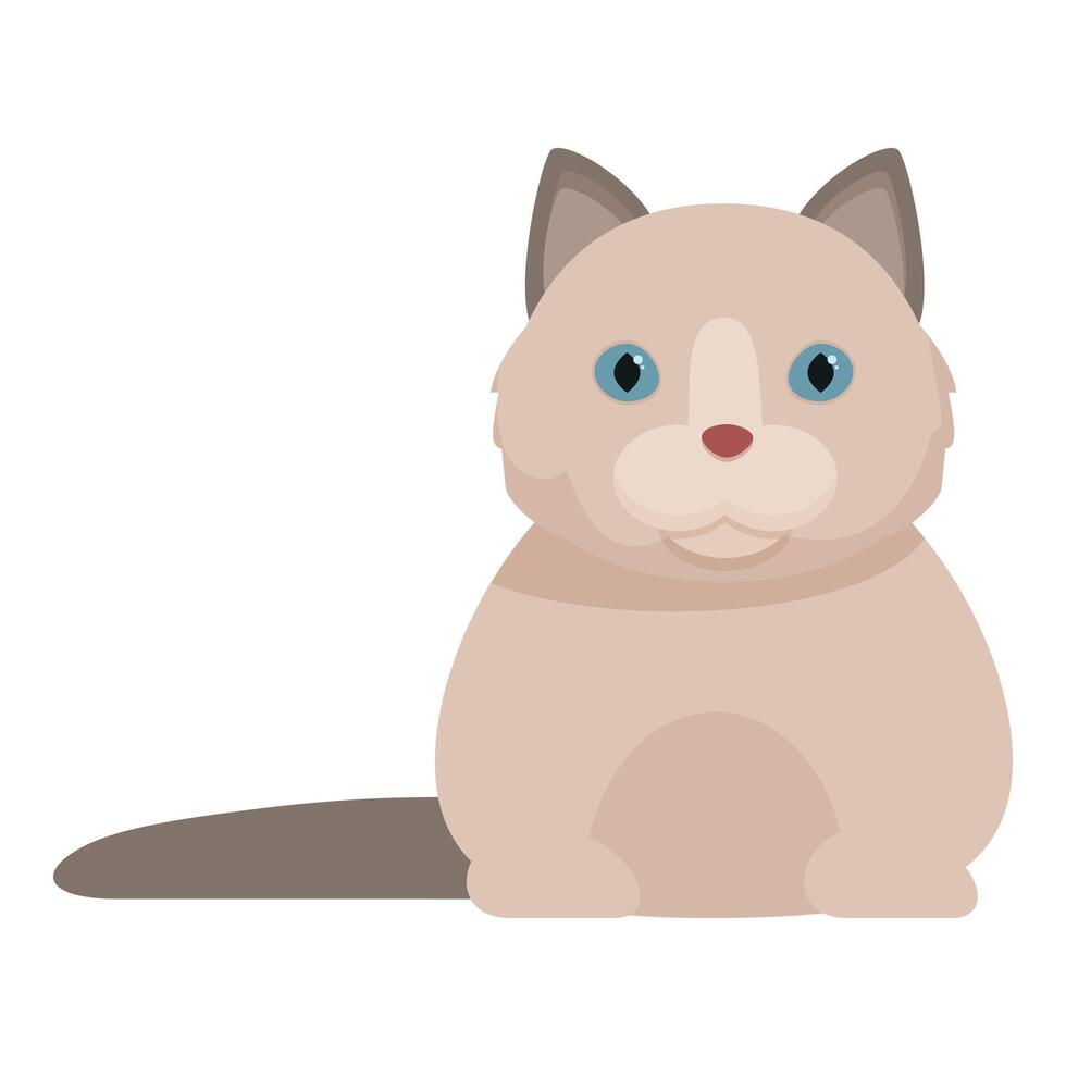 Cute ragdoll cat sitting and looking forward illustration vector
