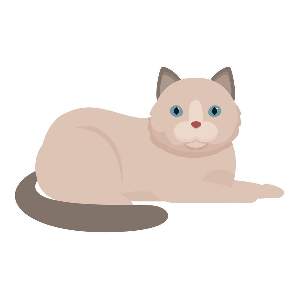 Cute ragdoll cat relaxing on the floor vector