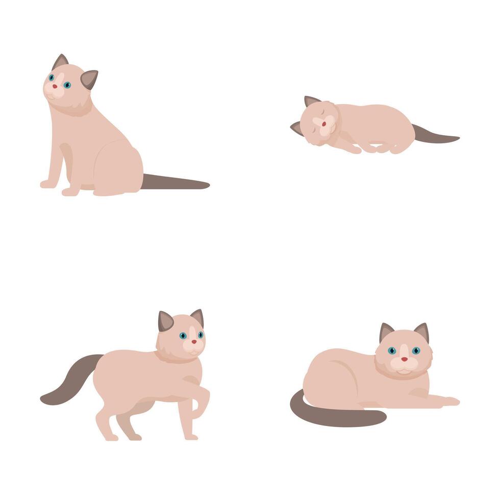 Set of cute cartoon siamese cats in various poses vector
