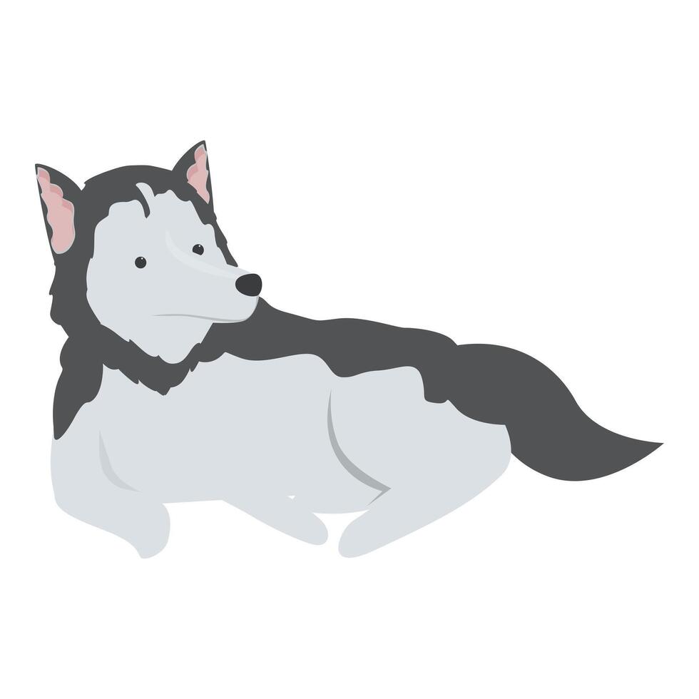 Cute siberian husky dog relaxing, lying on the floor vector
