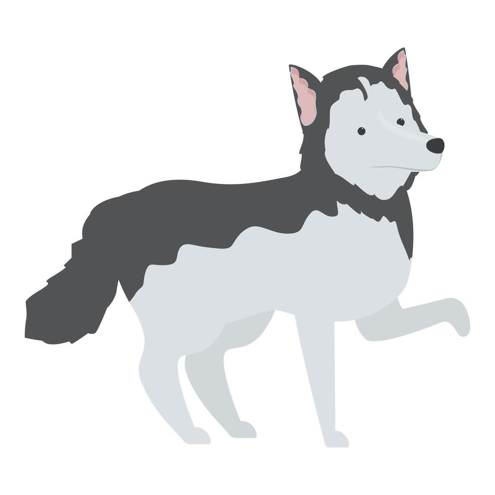 Cute siberian husky dog standing on white background vector