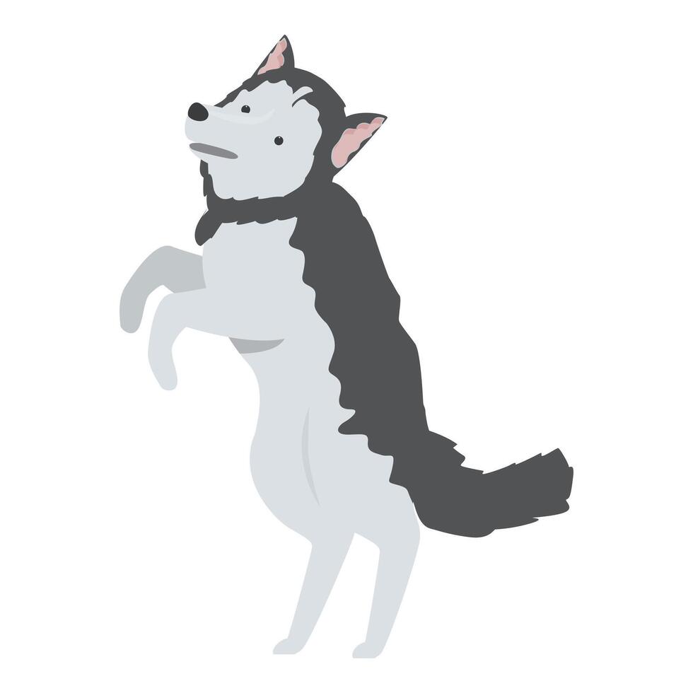 Playful husky dog standing on two legs, begging for treat vector
