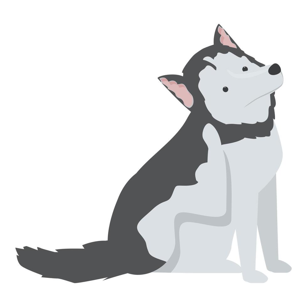 Cute husky dog sitting and looking up illustration vector