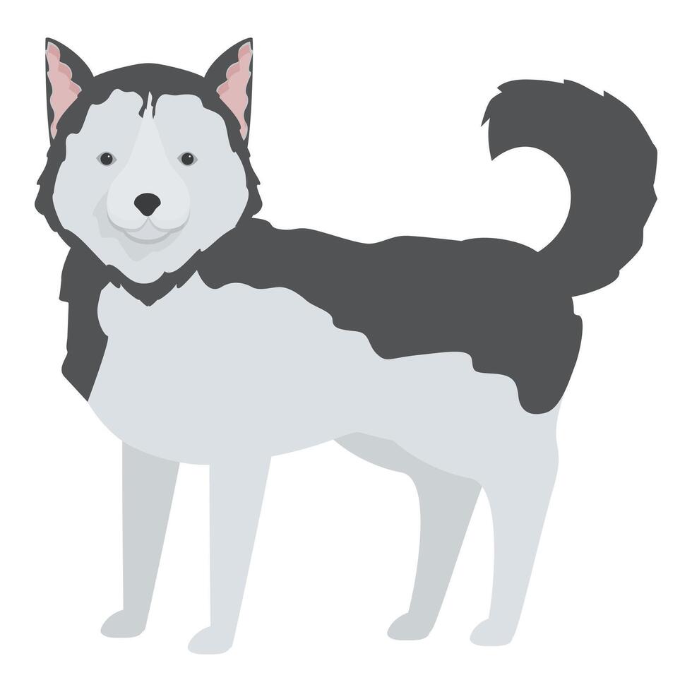 Cute siberian husky dog standing illustration vector