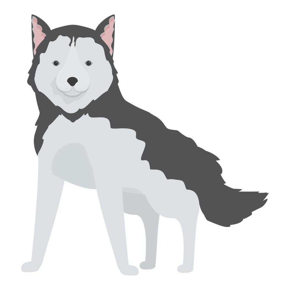Cute siberian husky dog standing on white background vector